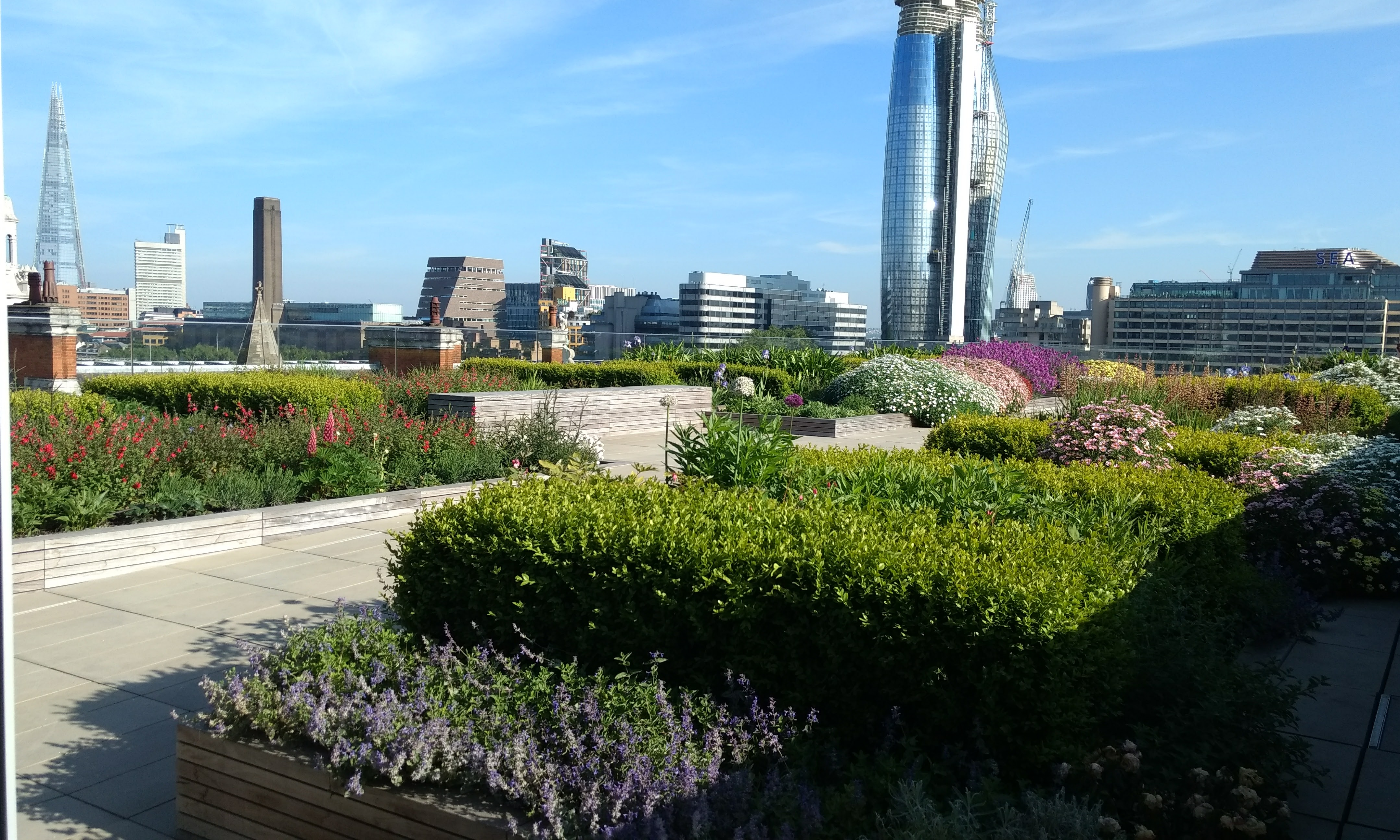 Rooftop Carmelite House